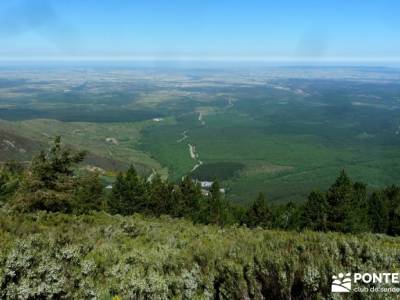 Cuerdas de La Pinilla y Las Berceras; madrid senderismo, rutas senderismo;bosques encantados